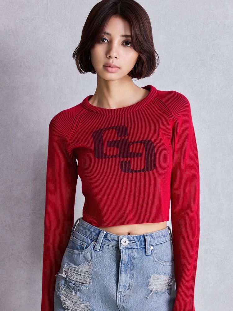 GYDA GG two color scheme ニットトップス